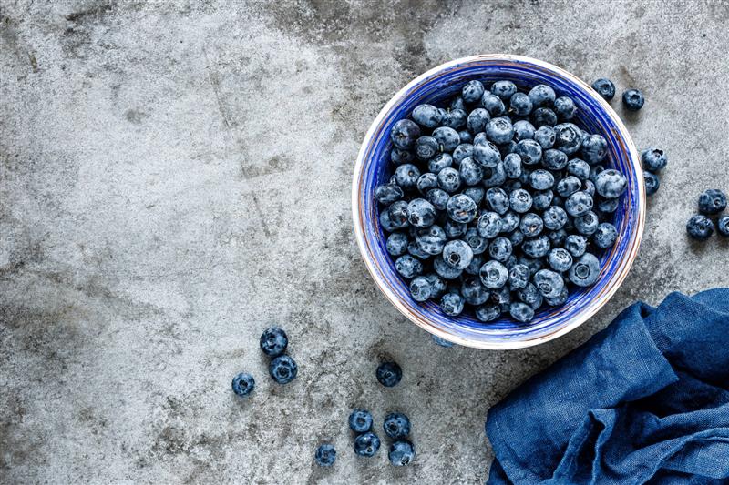 Blaubeeren in Schale: Dürfen Hunde sie essen und wie gesund sind sie?