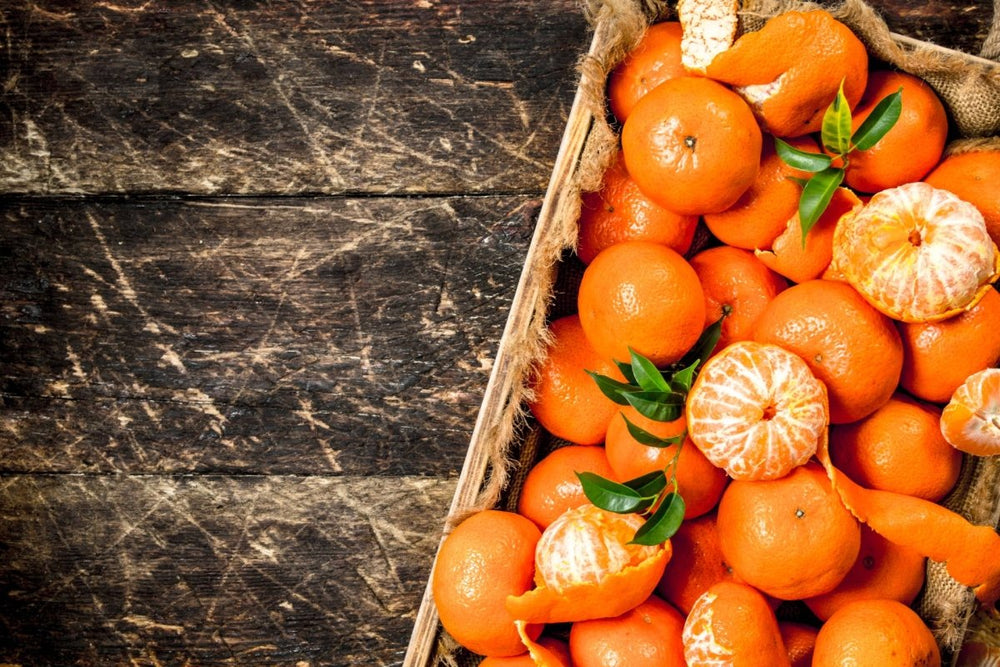 Mandarinen im Karton: Leckere Vitaminbomben für Hunde oder besser meiden?