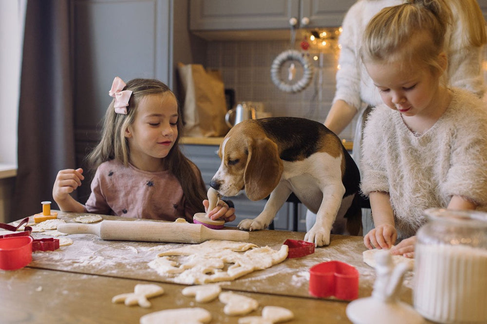 Weihnachtsgebäck für Hunde und Katzen: Alles zu Zimt und Hundekeksen - ALPHAZOO