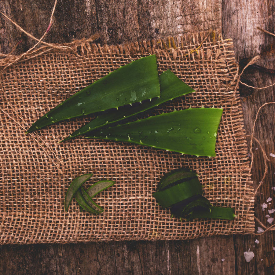 Aloe Vera