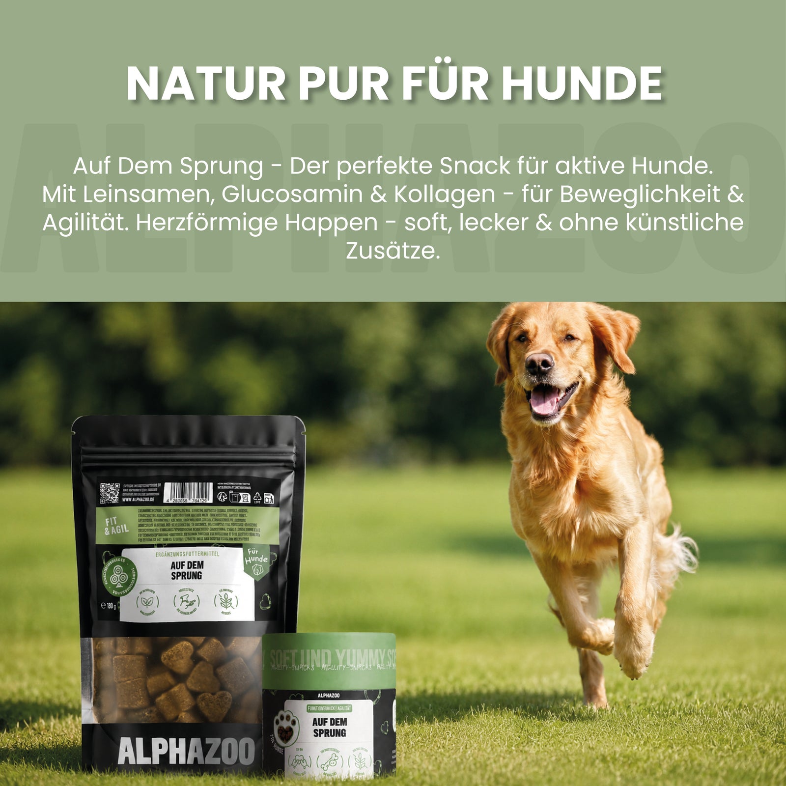 Auf Dem Sprung