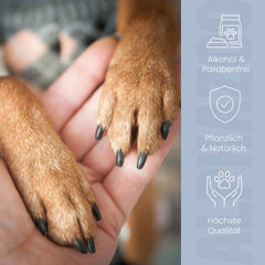 Big Paw-ty Pfotenpflege für Hunde