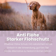 ByeByeVloh Spot-On für Hunde