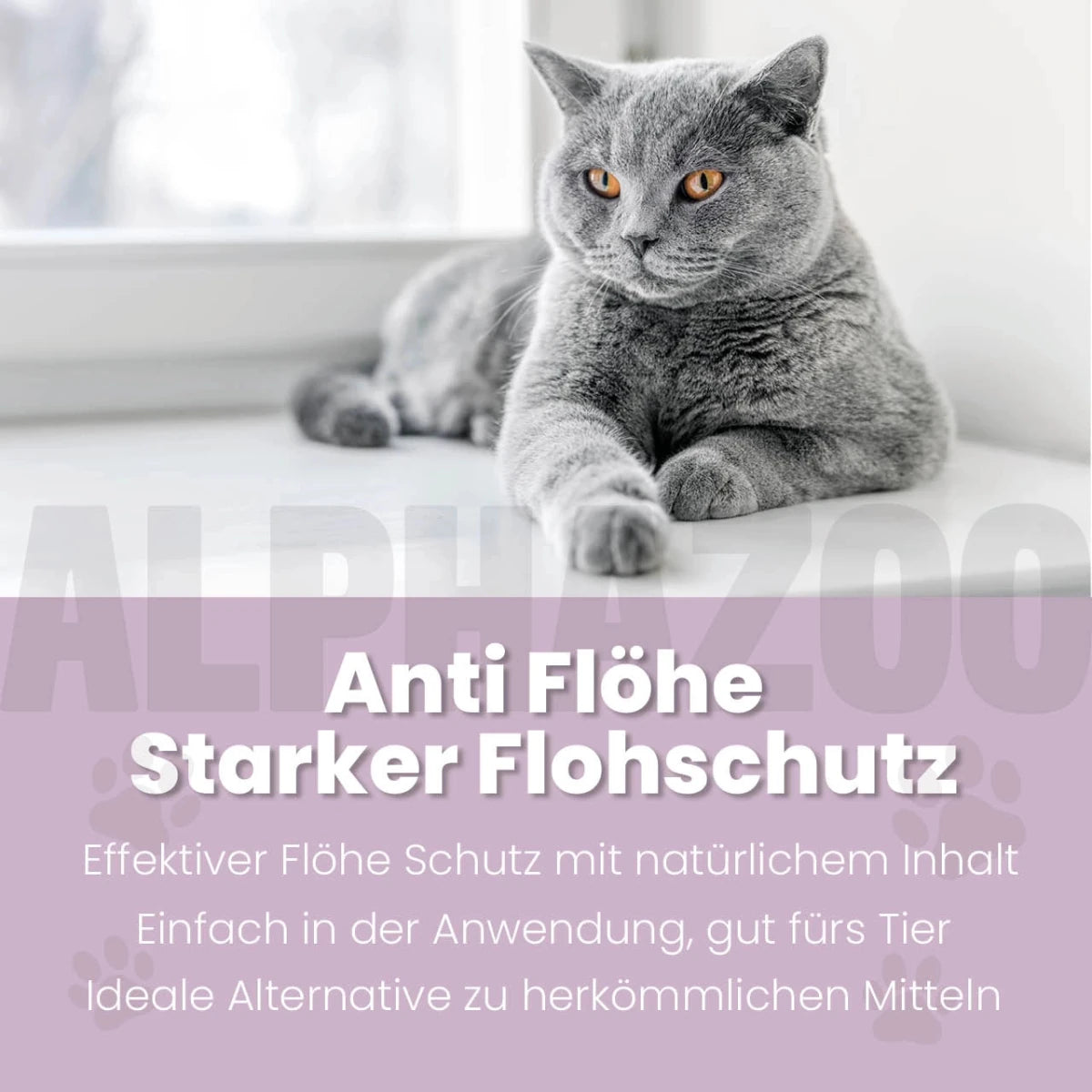 ByeByeVloh Spot-On für Katze