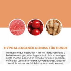 Monoprotein Pferd Nassfutter für Hunde