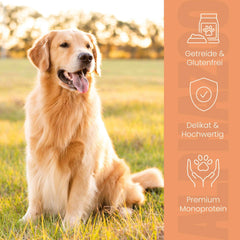 Wild + Rind Nassfutter für Adult Hunde