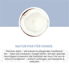Pawtable Pfotenpflege für Hunde
