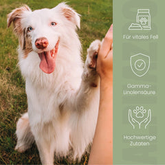 Fellliebe Futteröl für Hunde