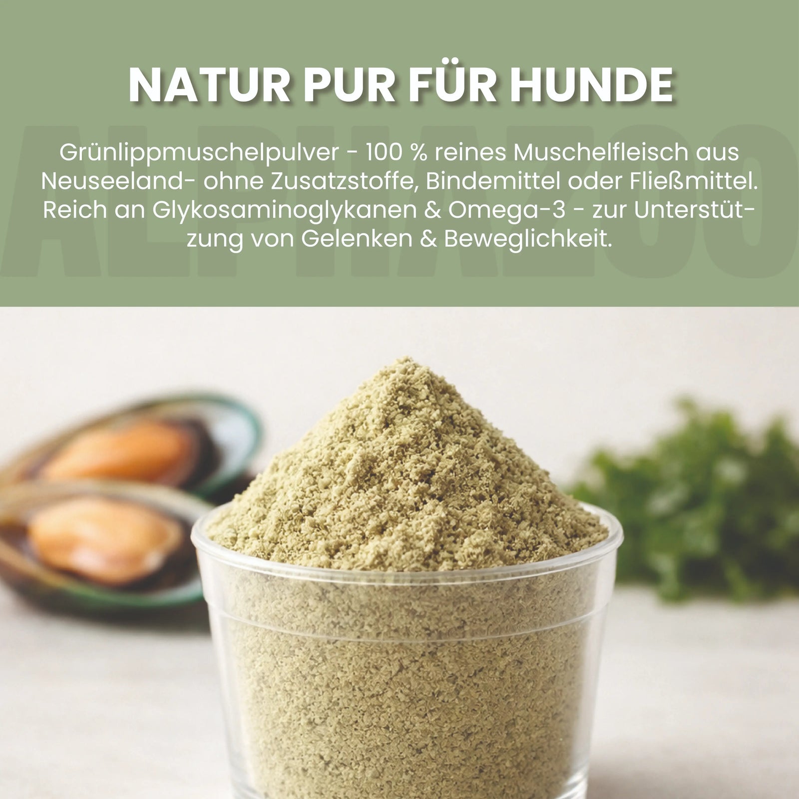 Grünlippmuschel-Pulver für Hunde