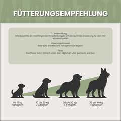 MSM Pulver für Hunde