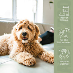Seelenruhe Tabletten für Hunde
