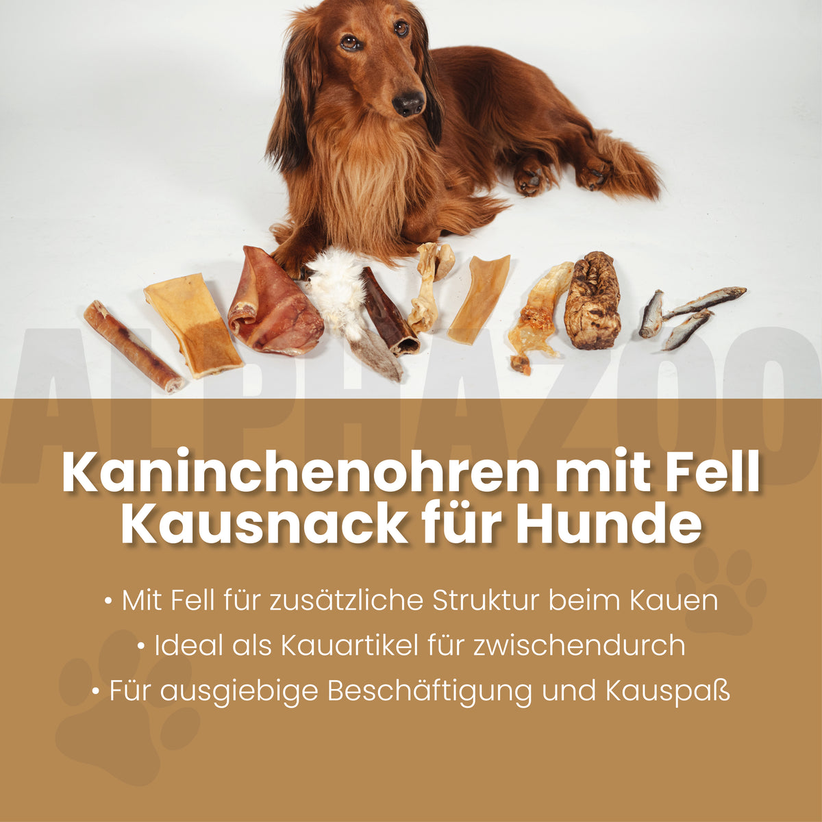 Kaninchenohren