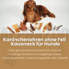 Kaninchenohren