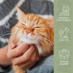 Grünlippmuschel-Pulver für Katzen
