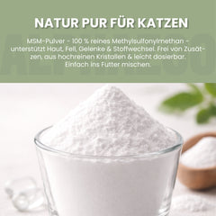 MSM Pulver für Katzen