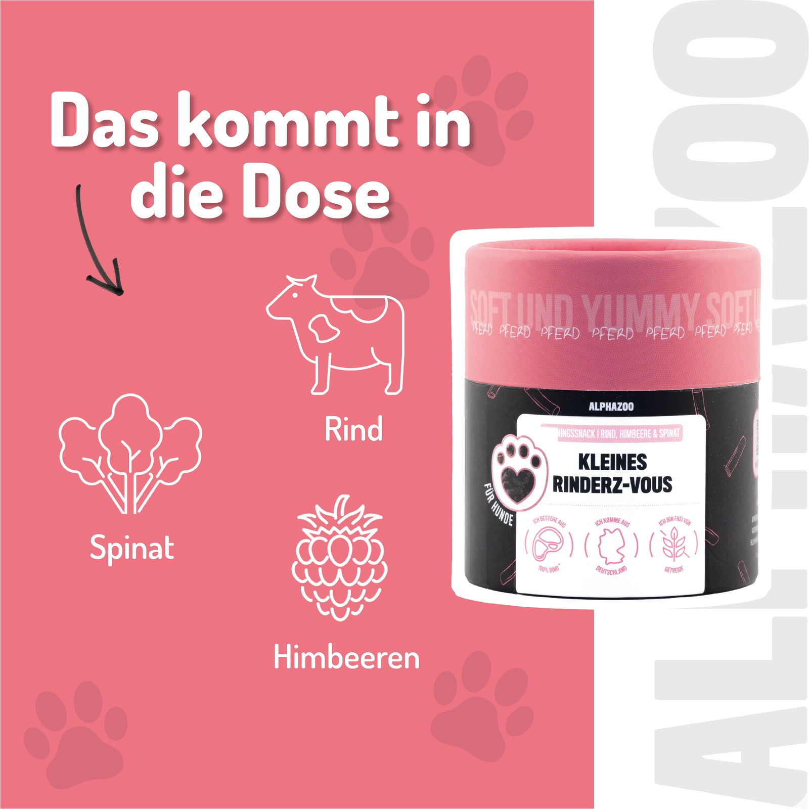 Kleines Rinderz-Vous