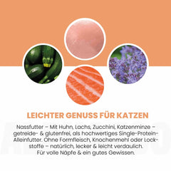 Lachs + Huhn Nassfutter für Katze