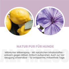MilbHunter Milbenspray für Hunde