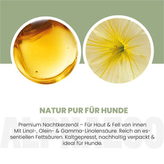 Nachtkerzenöl für Hunde