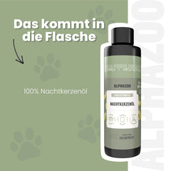 Nachtkerzenöl für Katzen