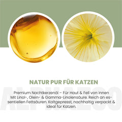 Nachtkerzenöl für Katzen