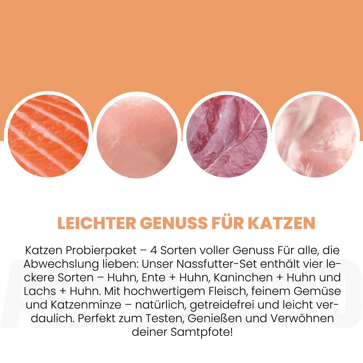 Probierschmaus Katze