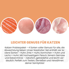 Probierschmaus Katze