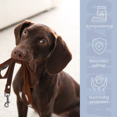 Pupssäckchen Kotbeutel Schwarz