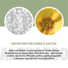Seelenruhe Bachblüten