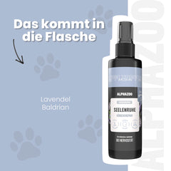 Seelenruhe Körbchenspray für Hunde