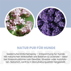 Seelenruhe Körbchenspray für Hunde