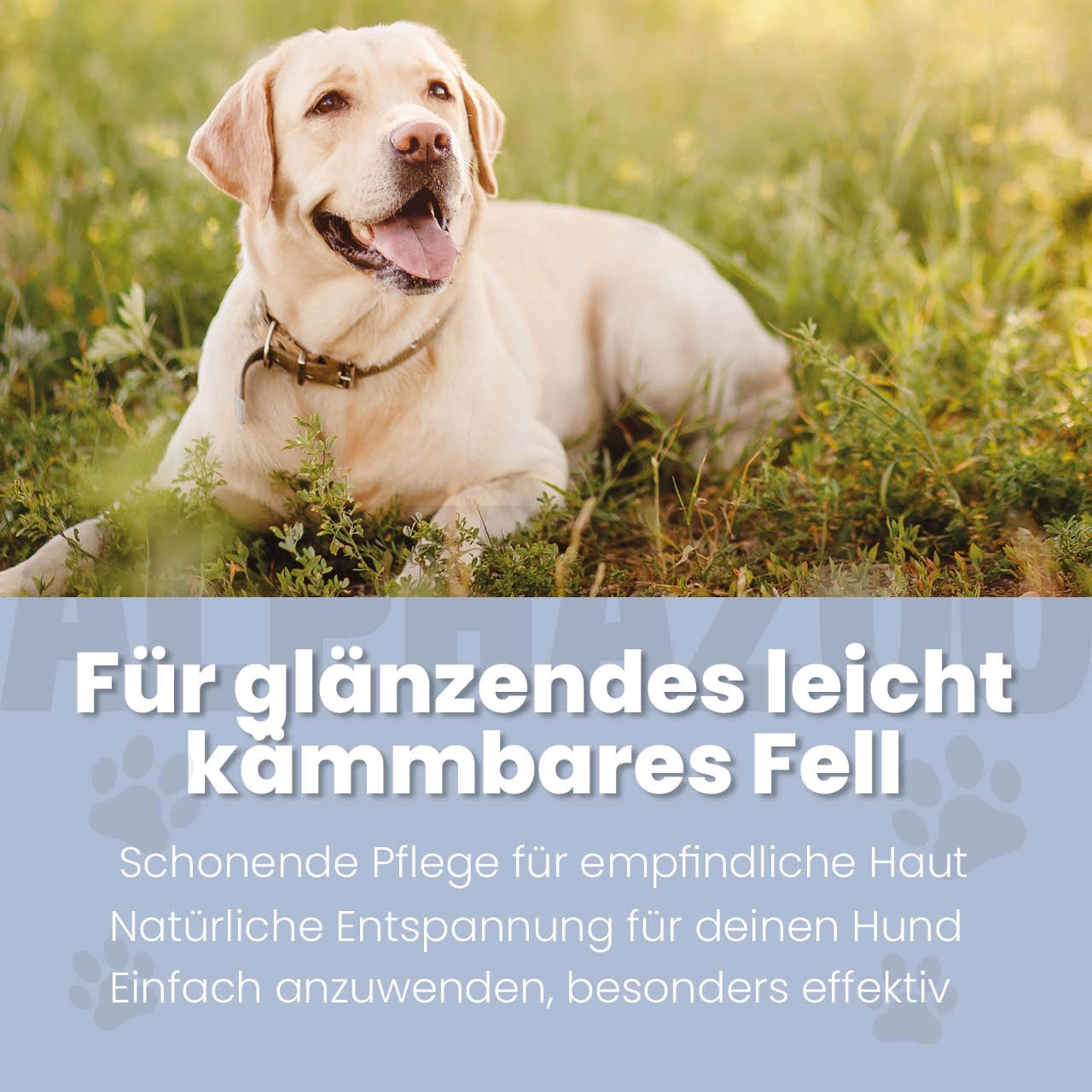 Sensibelchen Fellspray für Hunde