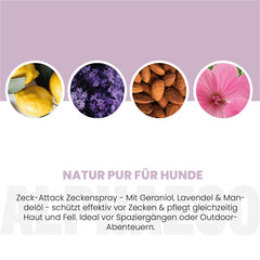 ZeckAttack Zeckenspray für Hunde